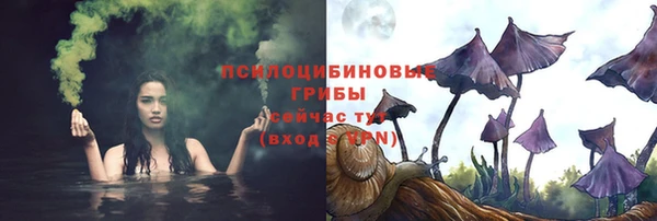 стафф Богородицк