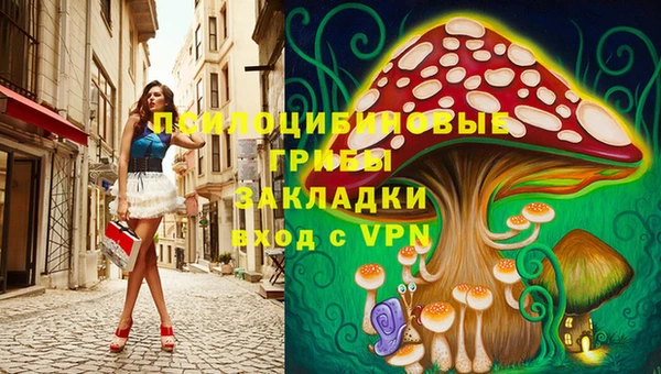 дурь Богданович