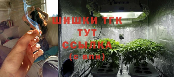 дурь Богданович