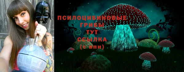 ПСИЛОЦИБИНОВЫЕ ГРИБЫ Бородино