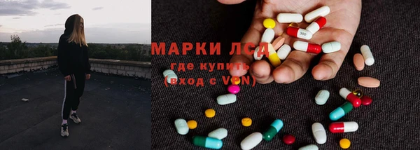дурь Богданович